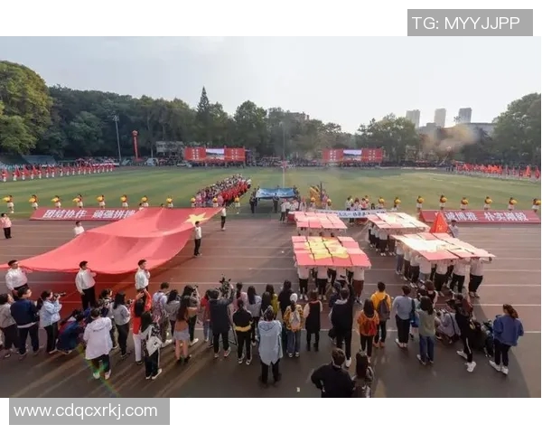 IG战队的荣耀之路与奋斗历程全景回顾