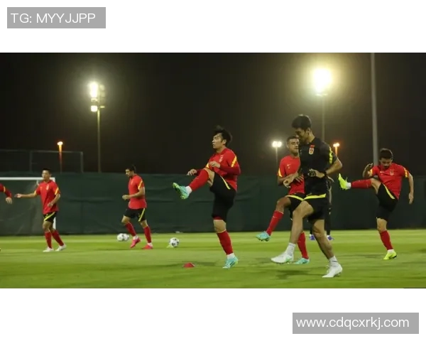 从零起步掌握足球意识全方位指南助你成为场上智者