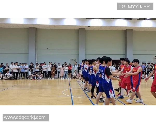 南京篮球队篮球意识创新高引领全国水平新标杆