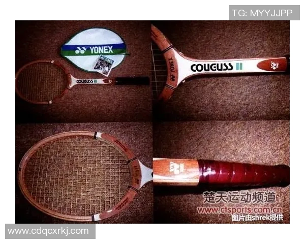 南京羽毛球队运营分析：成功经验与不足之处的深度探讨