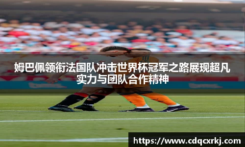 CC网投官方网站