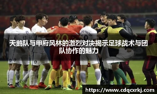 天鹅队与甲府风林的激烈对决揭示足球战术与团队协作的魅力